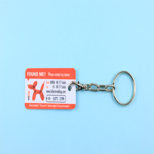 Combo Card - Master + 1 Keychain Card